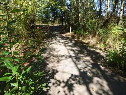 Year-round compacted gravel trail has drop offs on both sides prior to the oak grove Year-round compacted gravel trail has drop offs on both sides prior to the oak grove